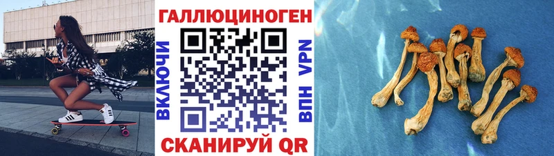 Псилоцибиновые грибы ЛСД  Саки 