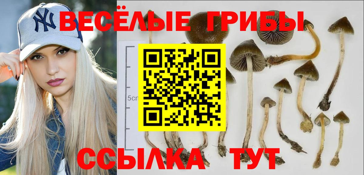 Саки  Псилоцибиновые грибы ЛСД  Вход с VPN 