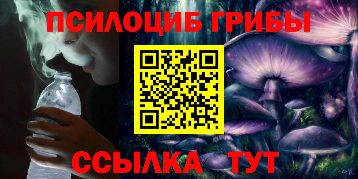 Псилоцибиновые грибы Psilocybine cubensis Саки