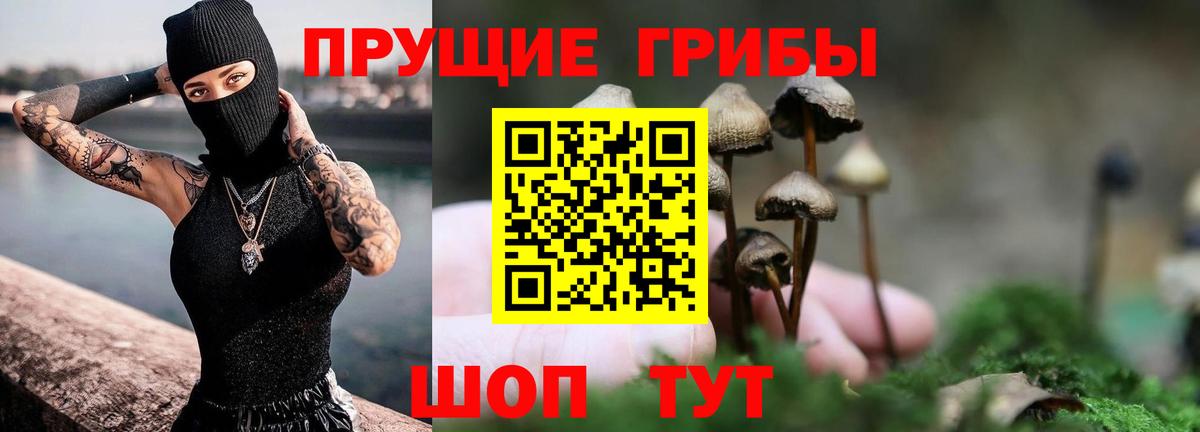 Псилоцибиновые грибы ЛСД Саки